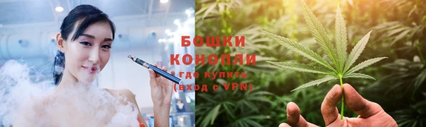 прущие крисы Богданович