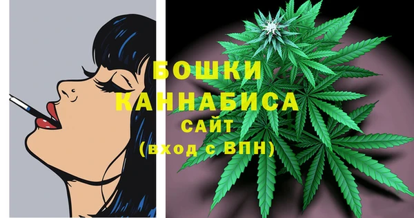 дмт Богородицк